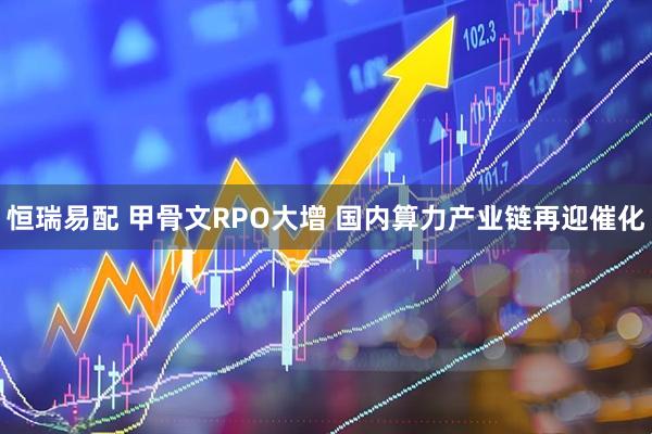 恒瑞易配 甲骨文RPO大增 国内算力产业链再迎催化