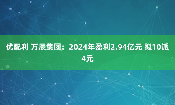 优配利 万辰集团：2024年盈利2.94亿元 拟10派4元