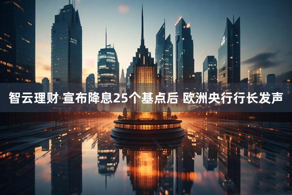 智云理财 宣布降息25个基点后 欧洲央行行长发声