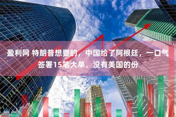 盈利网 特朗普想要的，中国给了阿根廷，一口气签署15笔大单，没有美国的份