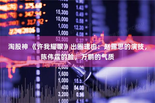淘股神 《许我耀眼》出圈理由：赵露思的演技，陈伟霆的脸，万鹏的气质