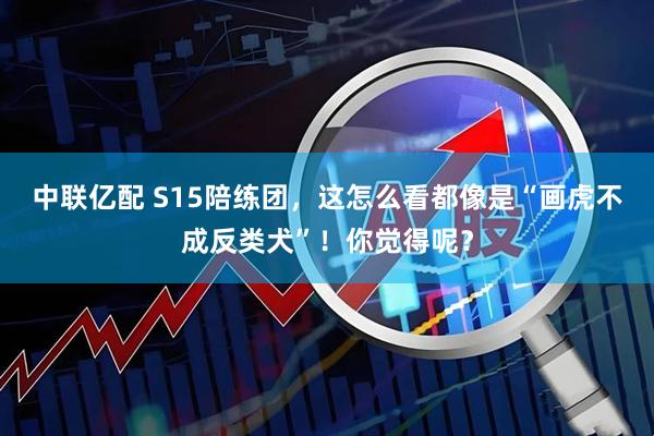 中联亿配 S15陪练团，这怎么看都像是“画虎不成反类犬”！你觉得呢？