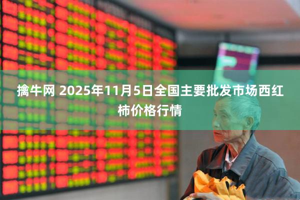 擒牛网 2025年11月5日全国主要批发市场西红柿价格行情