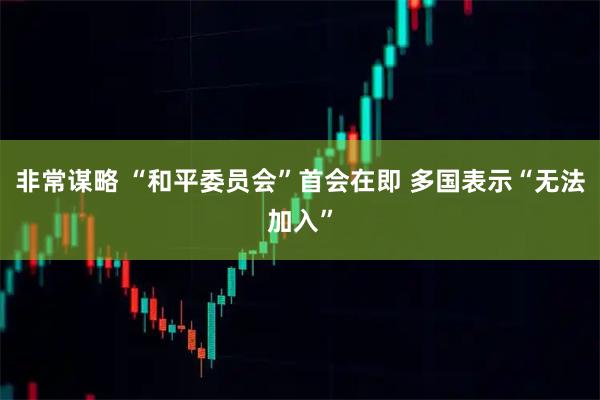 非常谋略 “和平委员会”首会在即 多国表示“无法加入”