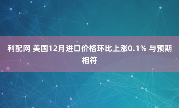 利配网 美国12月进口价格环比上涨0.1% 与预期相符